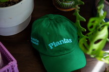 Cargar imagen en el visor de la galería, Jockey Plantas bordado 3D
