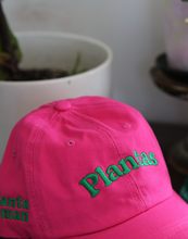 Cargar imagen en el visor de la galería, Jockey Plantas bordado 3D
